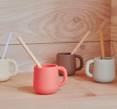 Bamboo Silicone Straw - Pack of 6 - Cold colors