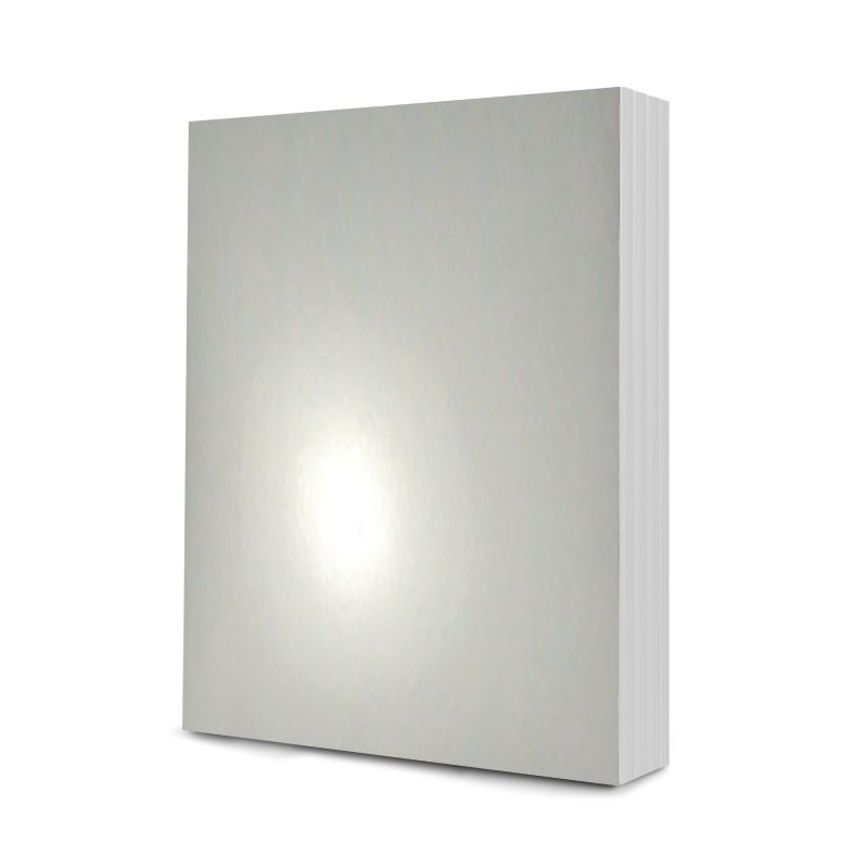 Tapis Mirri A6 - Argent éclatant