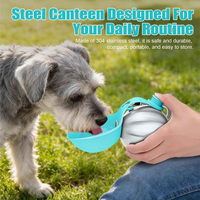 Bouteille d'eau portable pour chien 10oz en acier inoxydable, distributeur de voyage avec gamelle anti-déversement pour chiots et petits chiens, idéale pour la marche et la randonnée