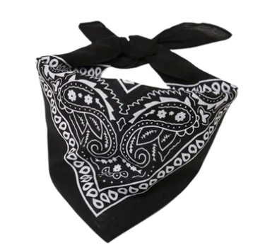 Europe Bound Bandanas 5 pack