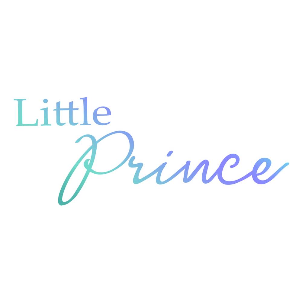 Mini-tampon - Collection homme - Le Petit Prince
