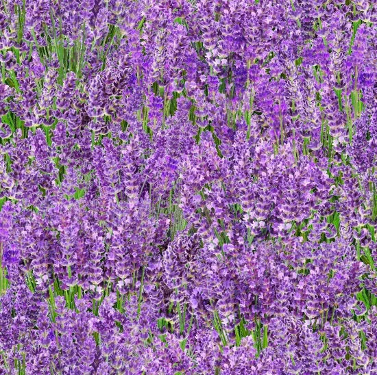 Elizabeth Studio - Landscape Medley - Lavender - 572-LAV — Cottage Quilting Ltd.