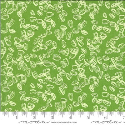 Solana par Robin Pickens - Sprout