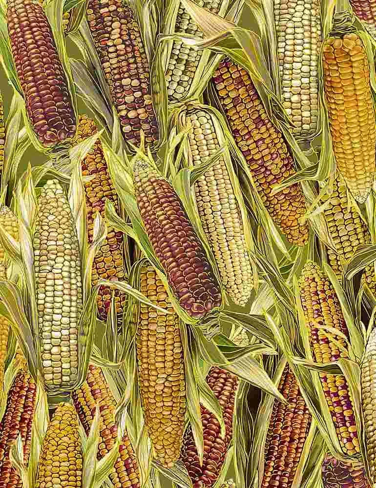 Harvest - Maïs en conserve - Multi avec Or