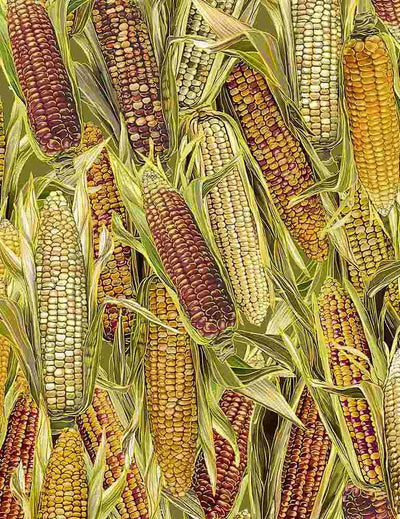 Harvest - Maïs en conserve - Multi avec Or