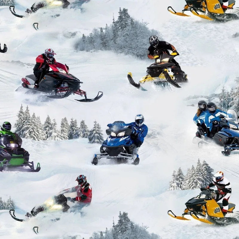 Elizabeth's Studio- In Motion- Snowmobilies- 293-White — Cottage Quilting Ltd.