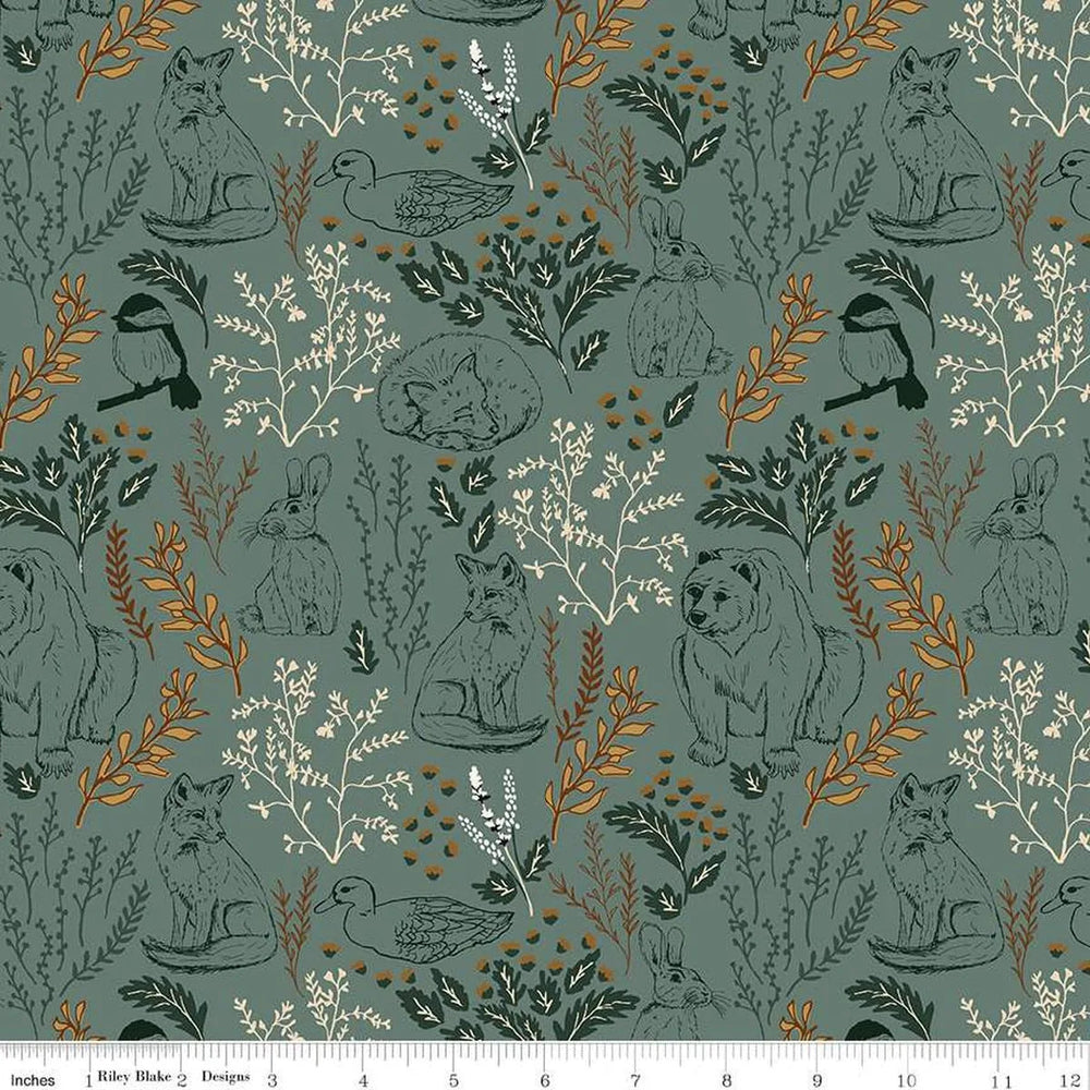 Riley Blake - Let's Wander - Main Teal - C16880-TEAL