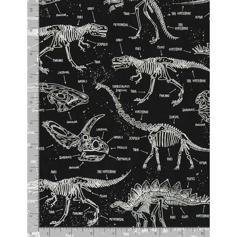 Squelettes de dinosaures phosphorescents par Timeless Treasures