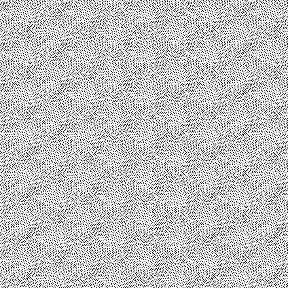 Northcott Simply Neutrals - Blanc/Noir Pois-23919-99