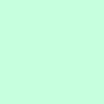 Color Works Frosted Menthe Uni - 9000-752