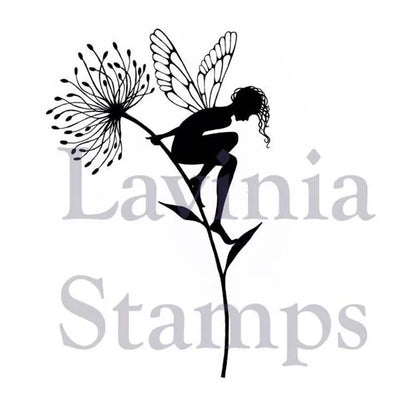 Tampon Lavinia - Voir, c'est croire