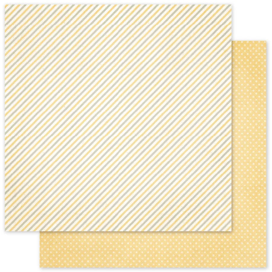 Halloween Hollow Basics C Papier 12x12 (Paquet en vrac de 12) 35400