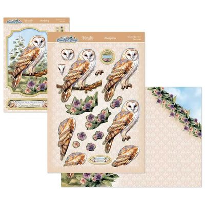 Ensemble Deco-Large Beaux Oiseaux - Magnifique Chouette effraie