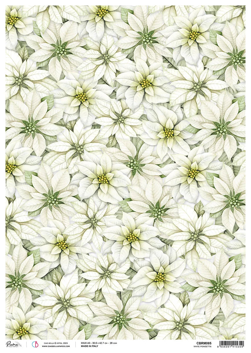 Papier de riz Ciao Bella A3 Piuma Poinsettia Blanc - 3 Feuilles