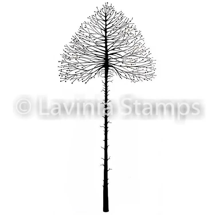Tampon Lavinia - Arbre Céleste