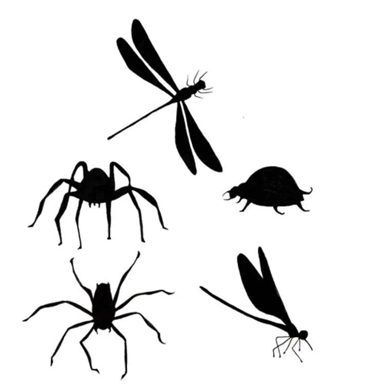 Tampons Lavinia - Insectes