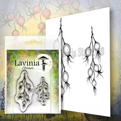 Tampon Lavinia - Baies d'hiver