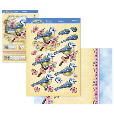 Ensemble Deco-Large Beaux Oiseaux - Mésange bleue éclatante