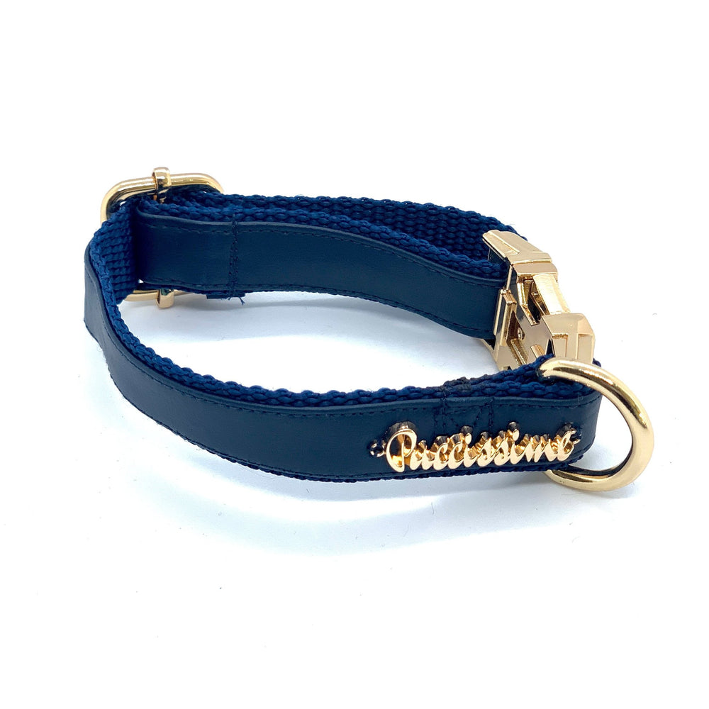 Neptune Collar — Puccissimé Pet Couture