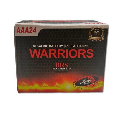 Piles alcalines AAA BRS — Paquet de 24 (BRSLR03AAA)