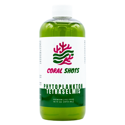 Phytoplancton vivant Tetraselmis - Shots de coraux