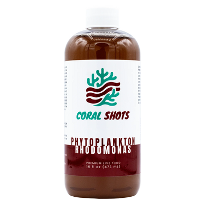 Rhodomonas Live Phytoplankton - Coral Shots