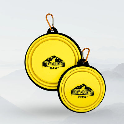 Bol Pliable pour Chien JAUNE