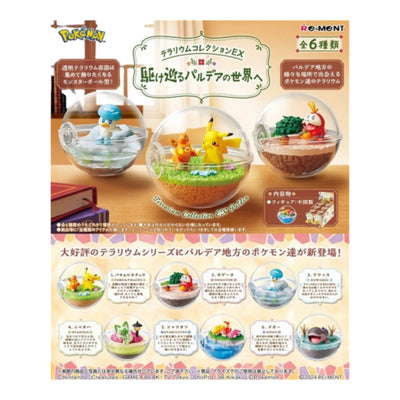 Boîte mystère Pokémon Terrarium : Exploration de Paldea