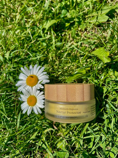 Nectar Protector | Nipple Balm | Motherly Organics