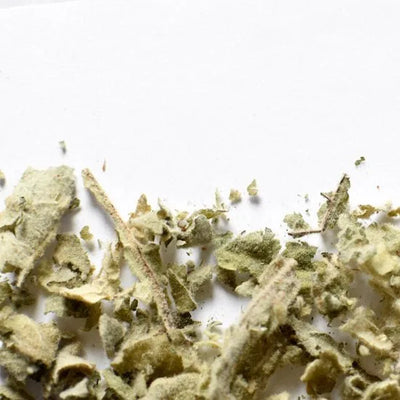 Mullein