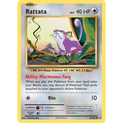 Rattata (66/108) (EVO)
