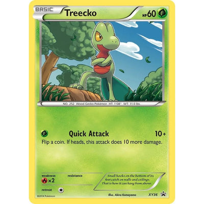 Treecko - XY36 (XY36) (PR)