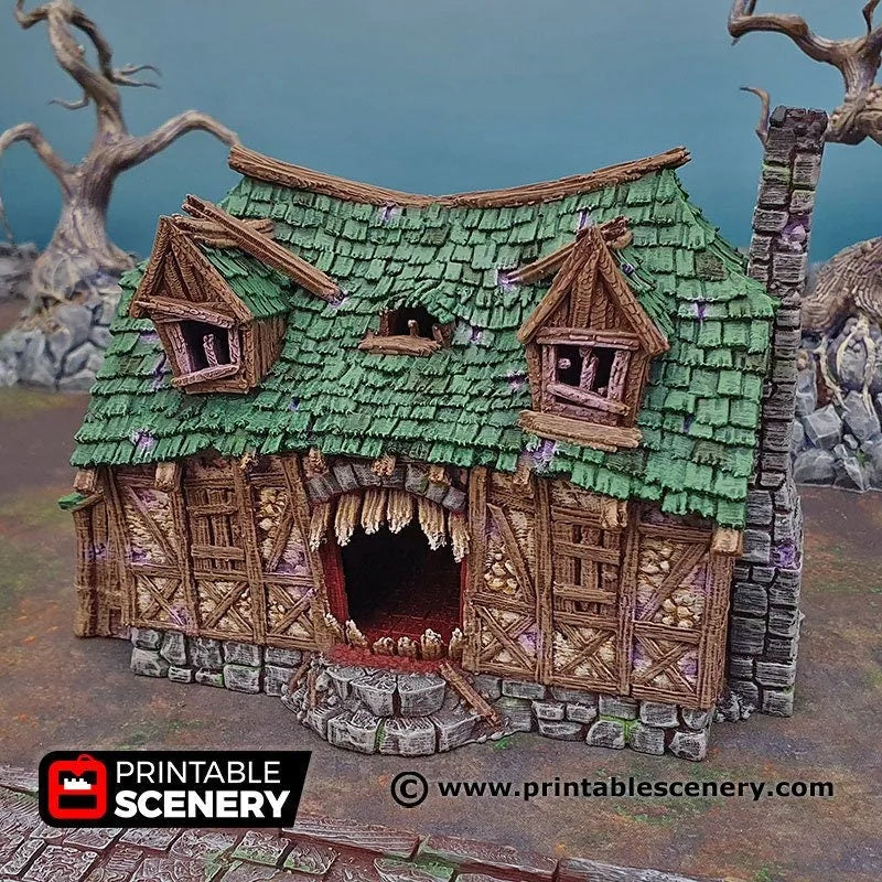 Mimic House - Shadowfey Ruins, DnD, Pathfinder 15mm, 28mm, 32mm, wargaming terrain, haunted, scatter, building, medieval