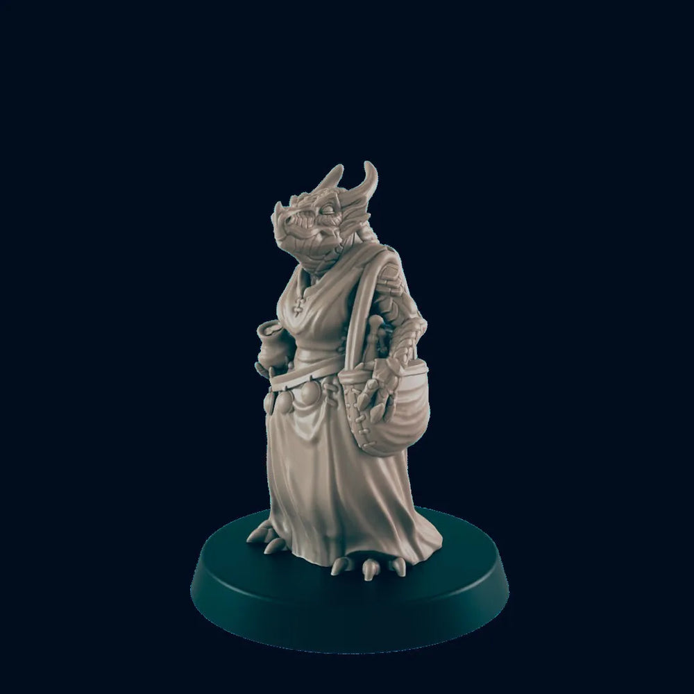 Acheteuse Dragonborn Femme - EC3D | DnD | Dragon | Femme | Villageoise | Paysanne | 32mm | Pathfinder | roturière | TTRPG | Wargaming