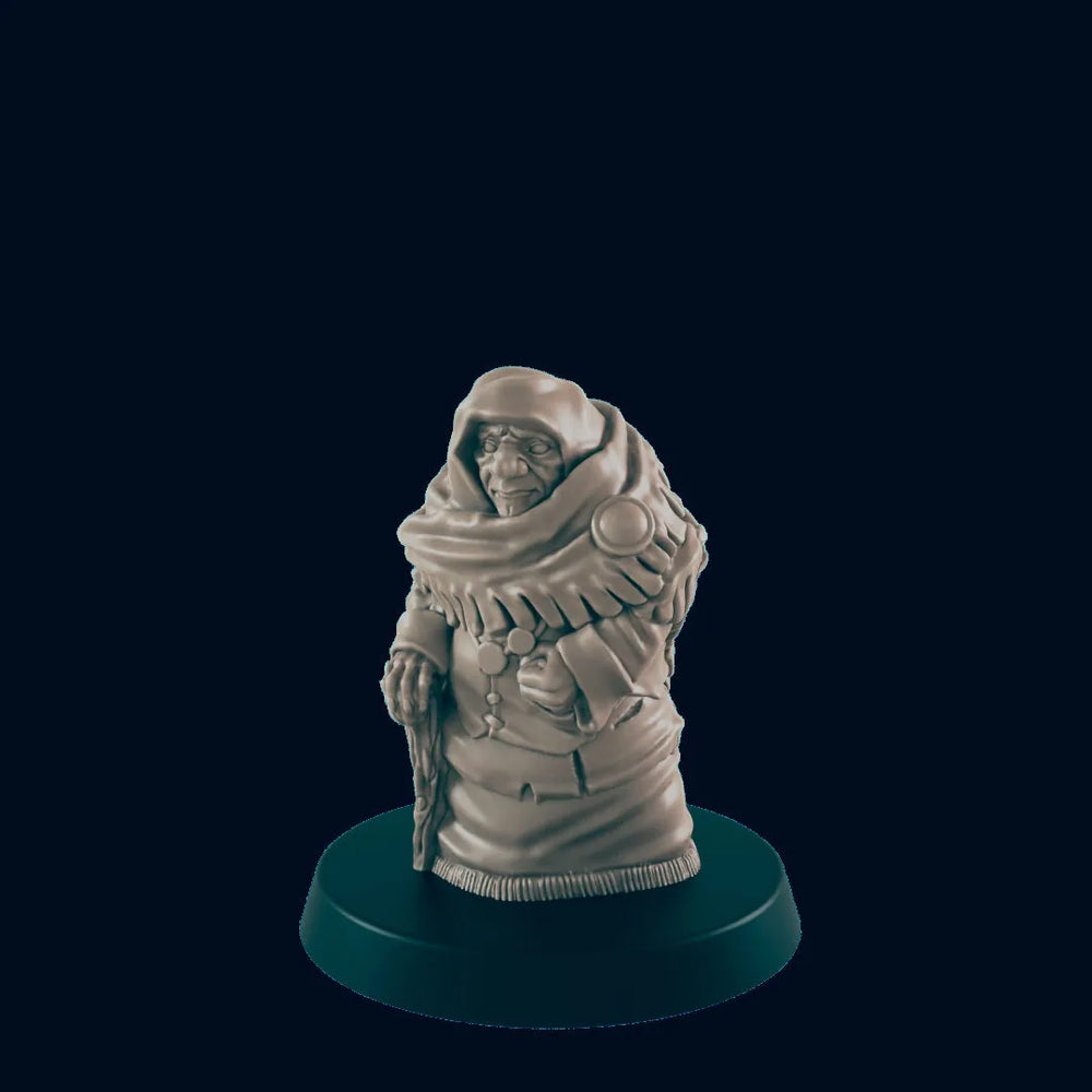 Human Woman Grandmother DnD Mini- EC3D |Villager minis | peasant | PC/NPC | 32mm | Pathfinder | commoner | TTRPG | Wargaming | Frostgrave