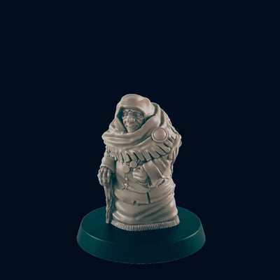 Miniature de femme humaine grand-mère DnD EC3D | Figurines de villageois | Paysanne | PJ/PNJ | 32mm | Pathfinder | Roturière | TTRPG | Wargaming | Frostgrave