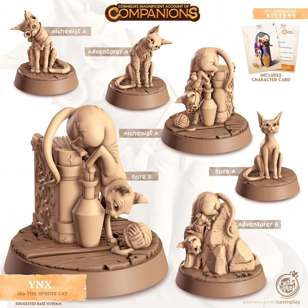 Ynx - mini chat sphynx dnd - Cast N Play, félin, chat, ami, familier de sorcier, compagnon animal, rôdeur, forme de druide, alchimiste, aventurier