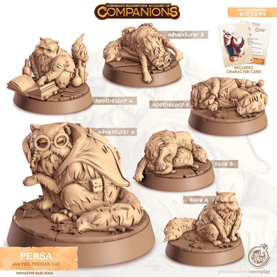 Persa - Mini chat persan dnd - Cast N Play, Félin, Chat, Ami, Familier magicien, Compagnon animal, Ranger, Forme druide, Apothicaire