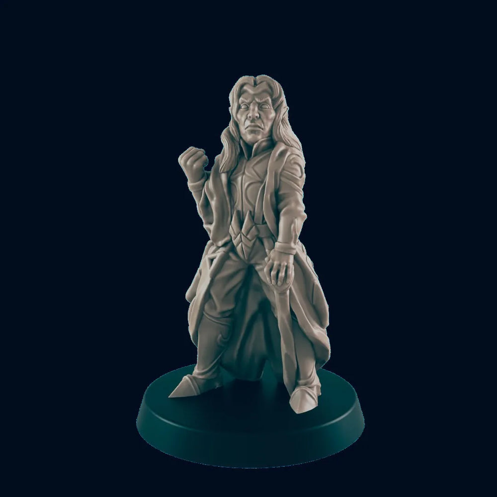 Noble Elfe Homme - EC3D | DnD | Elfe | Figurines de villageois | marchand | 32mm | Pathfinder | Noble | TTRPG | Jeux de guerre