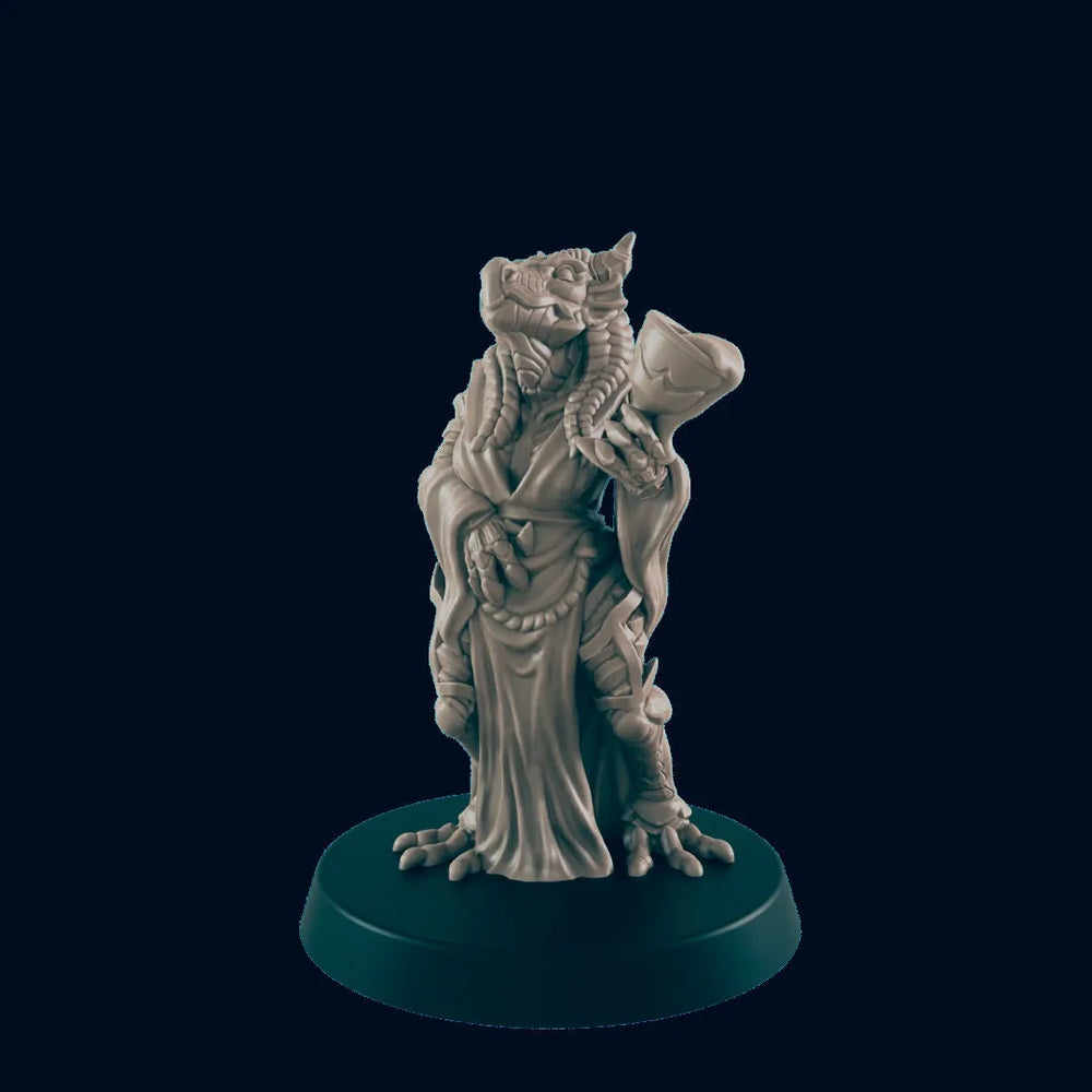 Noble Dragonborn Femme - EC3D | DnD | Dragonborn | Figurines de villageois | Paysanne | 32mm | Pathfinder | Frostgrave | TTRPG | Jeux de guerre