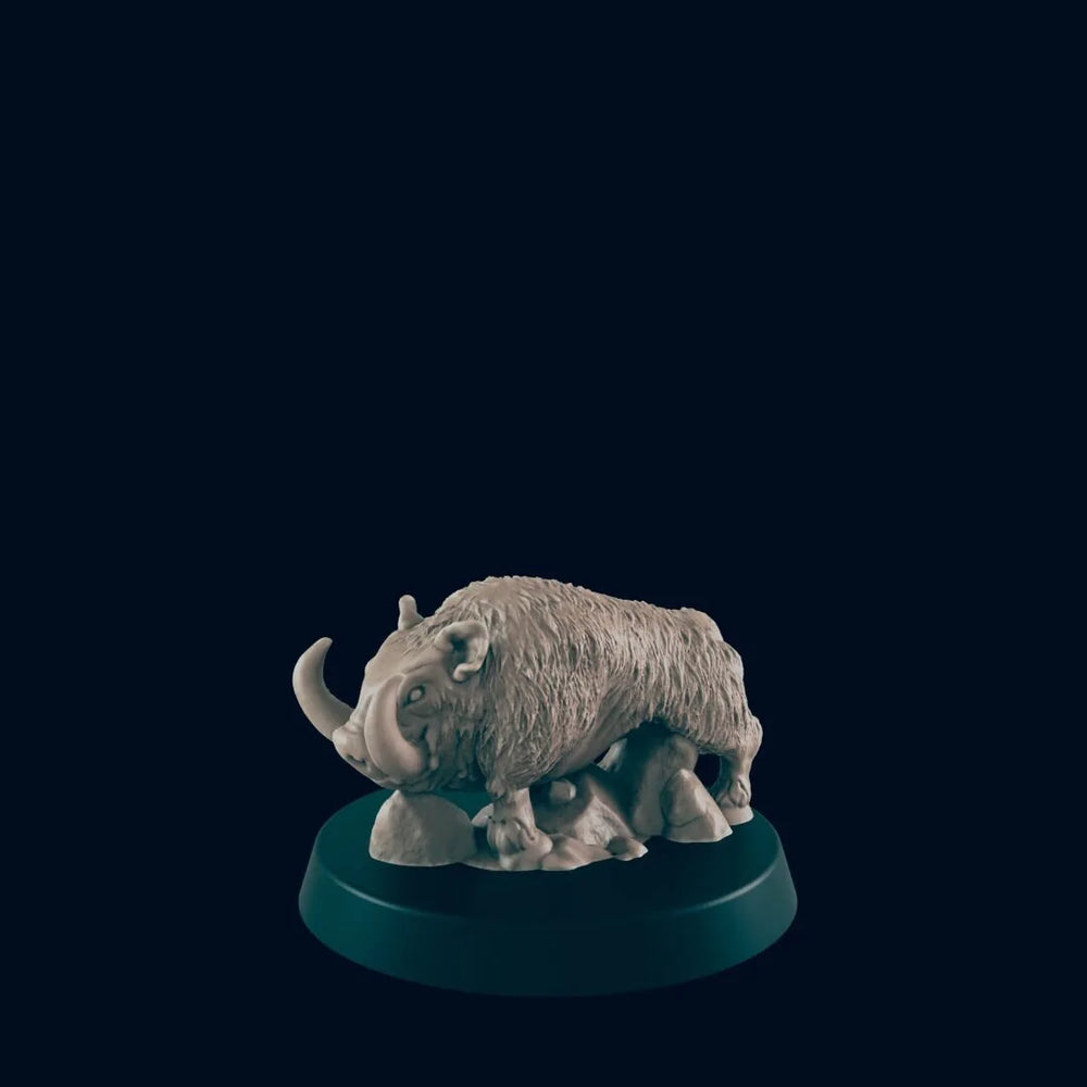 Sanglier - EC3D, DnD | Animal | Cochon | Monstre | 5E | Moyen | 32mm | Pathfinder | Fantaisie | Wargaming | Frostgrave | Druide
