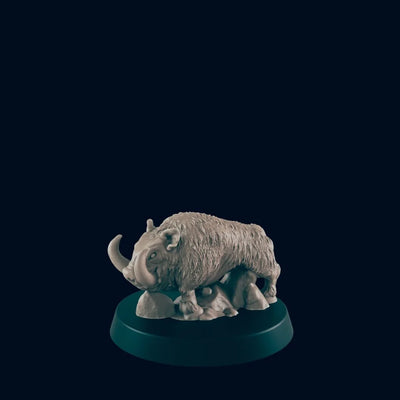 Sanglier - EC3D, DnD | Animal | Cochon | Monstre | 5E | Moyen | 32mm | Pathfinder | Fantaisie | Wargaming | Frostgrave | Druide