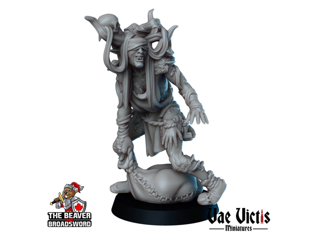 Miniature de sorcière des marais - Vae Victis | DnD | Maléfique | Ennemi | Sorcière | Malédiction | Marais | Lot | Gothique | Marchand | Wargaming | Pathfinder
