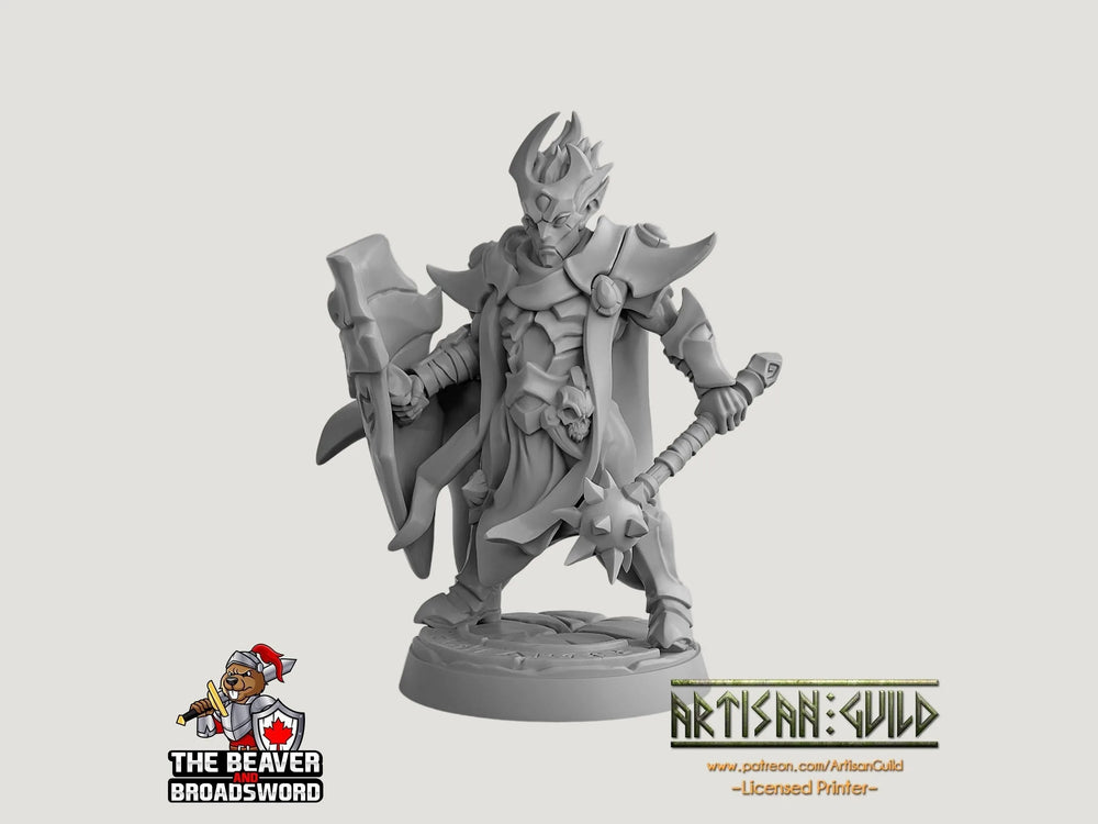 Ashen Alfar Inquisitor E - Dungeons and Dragons | Male | Fighter | Paldin Cleric | Elf Drow DnD 5e Fantasy  Pathfinder 2e 5e Tabletop Mini