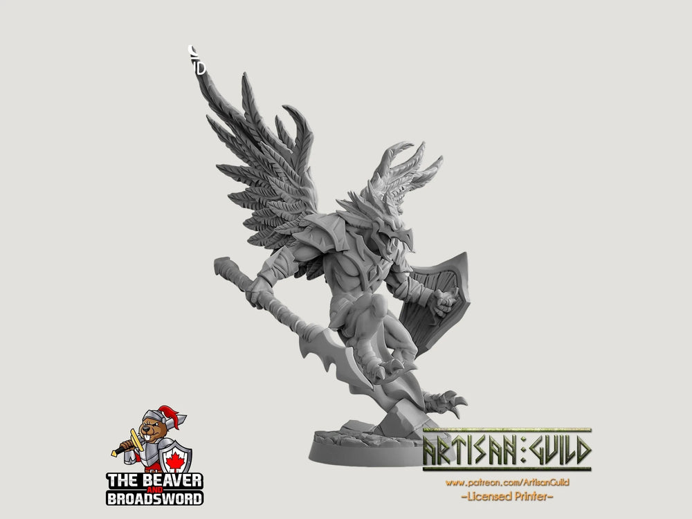 Aarakocra B Paladin Cleric miniature de qualité supérieure DnD - Miniature de table imprimée en résine de haute qualité 28mm 32mm, solide, durable, figurine et diorama