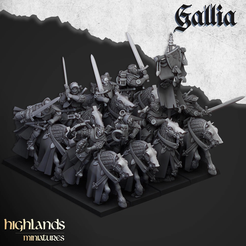 Ensemble de miniatures de Chevaliers en quête - Modèles de qualité supérieure en résine à l'échelle 28/32 mm pour jeux de guerre et JdR, DnD, Humain, Gallia, Durable, Haute qualité