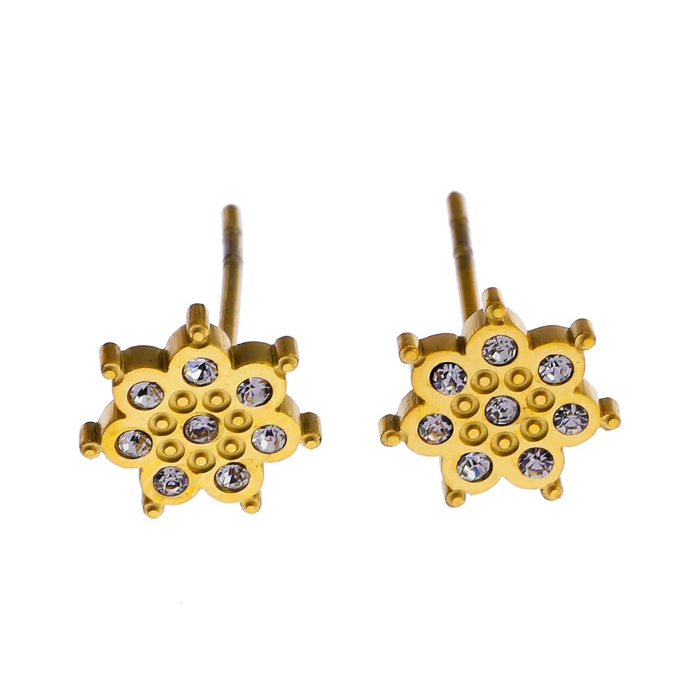 Style AGNES : Clous d'oreilles « Soyez une étoile » en zircone