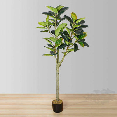 Plante artificielle Nero en caoutchouc 5 pi