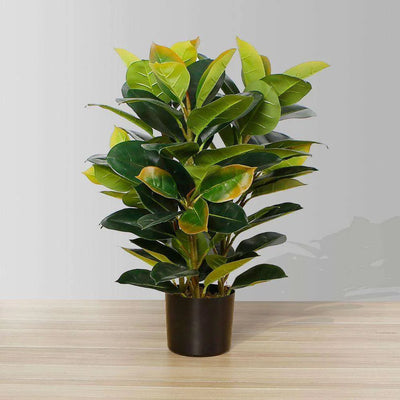 Plante en caoutchouc Rubi artificielle en pot 2,5 pi