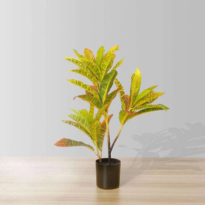 Plante en pot de croton artificiel Pinto 22"